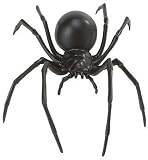 Eigenschaften Safari / Schwarze Witwe