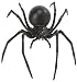 Black Widow Plastic Toy Spider