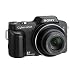 DSC-H10 - must have