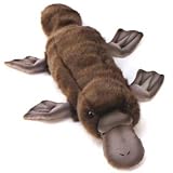 Platypus Plush Soft Toy