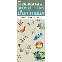 Traces et indices d'animaux