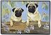 pug1  - TWO PUGS DOORMAT Art by Pollyanna Pickering