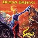 Dilana Besinor