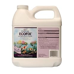 PondCare 147D Ecofix Bacterial Pond Clarifier, 64-Ounce