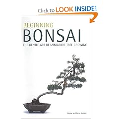 Beginning Bonsai: The Gentle Art of Miniature Tree Growing