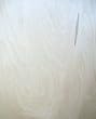 3/4" WHITE BIRCH PLYWOOD 2' x 4' [CAPITOL CITY LUMBER]