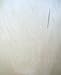 3/4" WHITE BIRCH PLYWOOD 2' x 4' [CAPITOL CITY LUMBER]