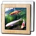Fishing - Chinese Koi Carp Fish - Tile Napkin Holders