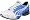 White/Blue Aster