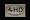 Texas History Day Vehicle Decal