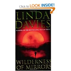 Wilderness Of Mirrors