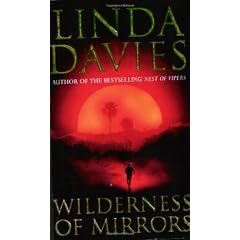 Wilderness of Mirrors