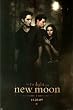 The Twilight Saga: New Moon Movie (Edward, Jacob, Bella) Poster Print - 24" X 36"