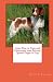 Learn How to Train and Understand your Brittany Spaniel Puppy & Dog
