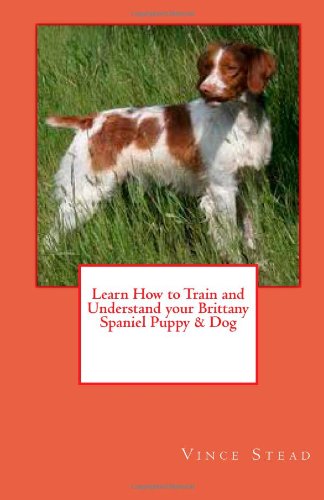 Learn How to Train and Understand your Brittany Spaniel Puppy & Dog-how to train puppy