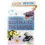 Illustrated Thesaurus (Usborne Illustrated Dictionaries)