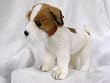Jack Russel Puppy Dog Standing Plush Toy 12" L