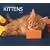 For the Love of Kittens Calendar