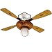 Hunter Fan Baseball Ceiling Fan - 44"
