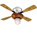 Tools & Hardware : Hunter Fan Ceiling Fan - Baseball (44")