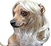 Tanya Pet Supplies -Dog Costumes Blonde Wavy Syethetic Hair Pet Dog Cat Wigs-gift