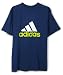 Adidas Boys 8-20 Youth Logo Tee,Real Blue/White/Acid Buzz,X-Large