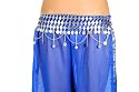 Belly Dance Coin Belt #1 Silver Tone