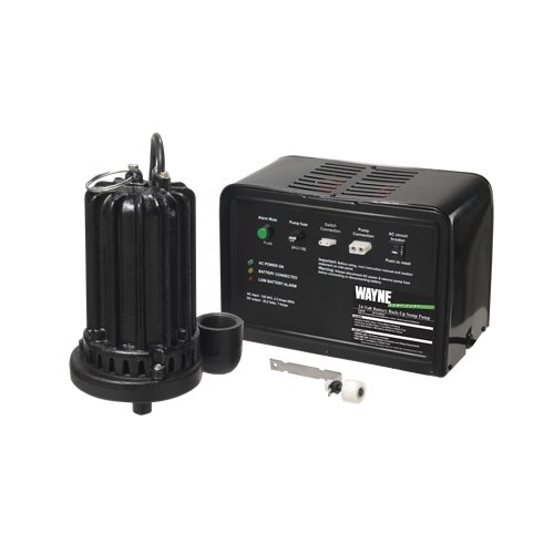 Wayne ESP45 24-Volt Cast Iron Battery Back Up Sump Pump System
