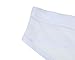 Men's See-through Mesh Underwear Male Nylon Breathable Triangle Briefs White Size M