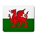 Wales Flag Mouse Pad