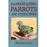 Hand-rearing parrots and other birds