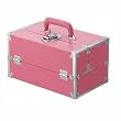 Japonesque Medium Train Case - Pink