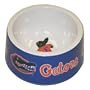 NCAA Pet Bowl, University of Florida Gators