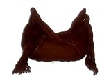 Genuine All Leather Shoulder Handbag Bag Purse LSH_LTBROWNZT_XLG2