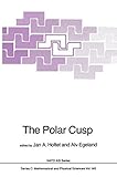 The polar cusp