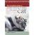 The Complete Guide to Understanding & Caring for Your Cat