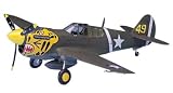 172 P4OE Warhawk 172 P4OE Warhawk