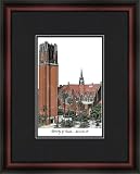 Framed & Matted Picture Florida Gators