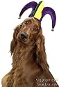 Pet Jester Dog Costume Hat For Large Dogs