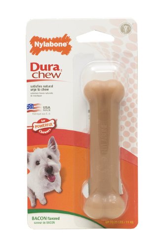 Huge save ondental for cats Nylabone Dura Chew Bone, Bacon Flavor, Regular