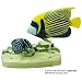 立体図鑑リアルフィギュアボックス　コーラルリーフフィッシュ(サンゴ礁に棲む魚の仲間)_s-4