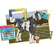 Picture Perfect Spotted Draft Horse