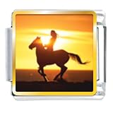 Riding Off Into The Sunset Animal Photo Italian Charms Bracelet Link