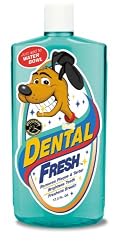 Synergy Dental Fresh Dog, 17 Ounce