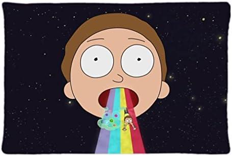Rick And Morty Personality Custom Home Decorative Pillow Cover Zippered Pillowcase (20x30 inch) Haitaowong Design