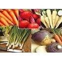 5 Packs - VEGETABLE SEEDS - onion, swede, parsnip, beet and carrot
