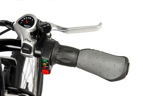 LifeCycle Mountain Sport Electric Bike