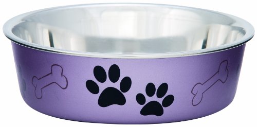 Loving Pets Metallic Bella Bowl Dog Bowl, Extra Large, 3 Quarts, Grape