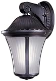 Amarante Heritage ENERGY STAR 17 1/2 Outdoor Light