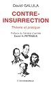 Contre-insurrection : Théorie et pratique